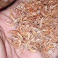 500 GRAMS A+ Qulity DRIED PRAWNS JHEENGA FOR BIRDS Dried Prawns baby shrimp. 