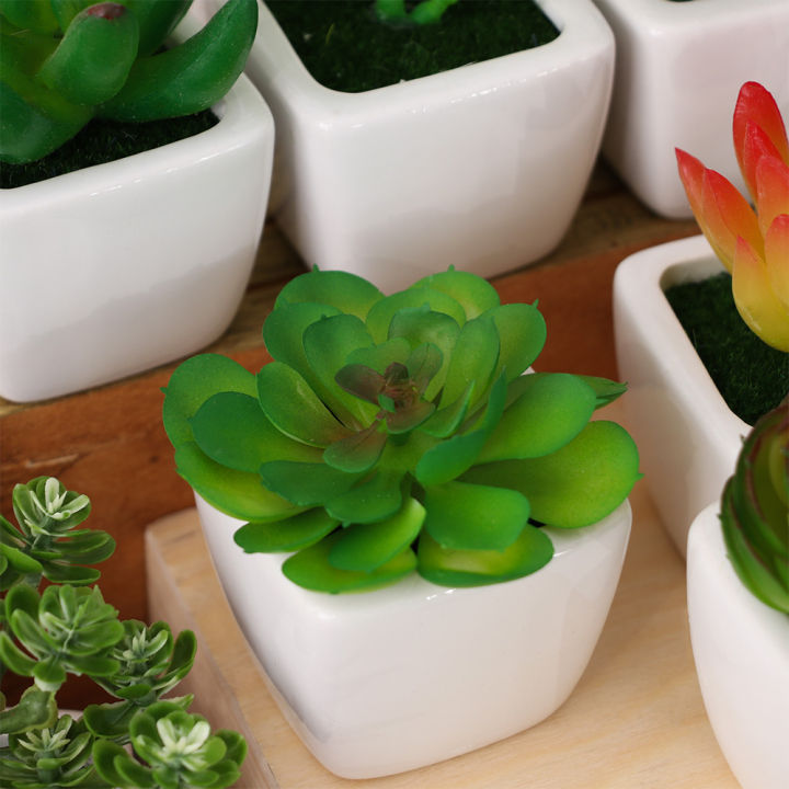 High Quality Artificial Mini Succulents Plant, Artificial Lotus Plant with White Ceramic Square for Home & Office Decor