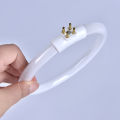 11W T4 Round Annular Tubes Lamps Bulb Fluorescent Ring Lamp Tube With 4 Pins Creek. 