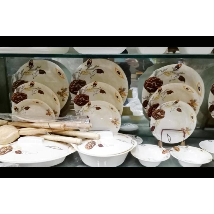 Melamine / Plastic Dinner set