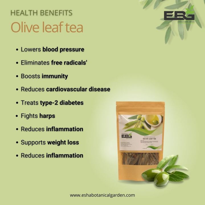 Organic%20Olive%20Leaf%20Tea%2050g%20-%20Image%204