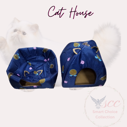 Cat House Single