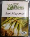 Bunching Onions. 