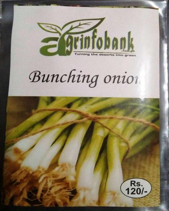 Bunching%20Onions%20-%20Image%203