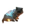 Cat Beach Blue Shirt - Small. 