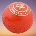 Synthetic Cricket Ball. 