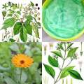 Silky Techno Basic Herb Balm Trewatment (250ML -Jar Will be small accordingly). 