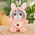 Stuffed Doll Toy Lovely Expression Cat Plush Toy Animal Plush Doll Pillow. 