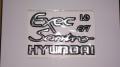 Hyundai Santro Executive Monogram Kit. 