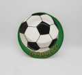 FOOTBALL THEME PAPER PLATES - PACK OF 10 PAPER PLATES - FOOTBALL PLATES. 