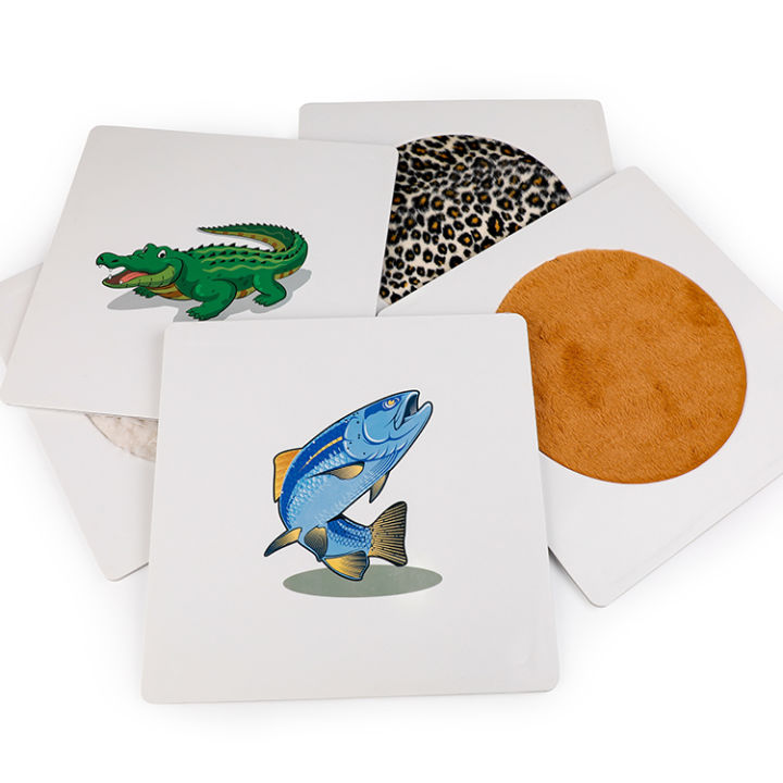 Learning Plate Sensory Junction Interactive Animal Texture Learning Plates Set for ...