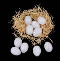 18 Piece - Artificial Plastic Egg Shell (Basic Learning Egg for Kids) Artificial Eggs - Hollow Egg Shell. 