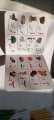 Pack of 15 preschool books for your Kids-high quality card Paper. 