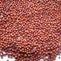 Red Sorghum Grains (Laal Jowar) (1 KG). 