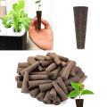 HomeInn Growing Sponge Reusable Hydroponic Plant Growth Planting Sponge. 