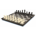 High-grade plastic chess set international chess game ABS plastic steel chess pieces only chess geetian. 