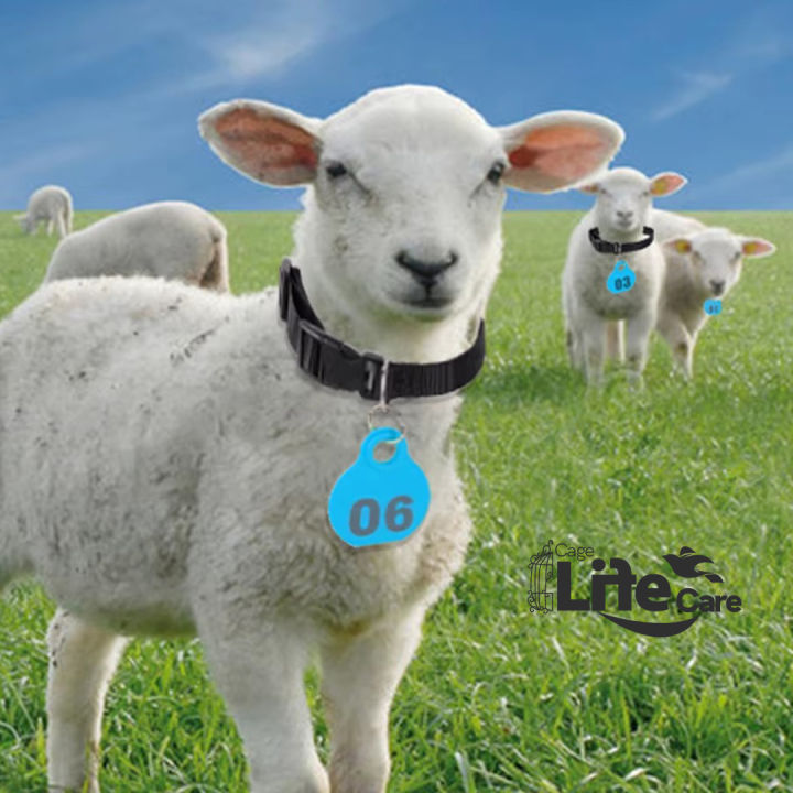 Goat Neck Tags + Collar Set ( Plan Tags no Numbering Mention ) Kisi Bhi Marker Se Ap Number Lihk Sahkte Hain