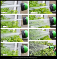 100 Feet Expanding Magic Hose with Gun Water Garden Pipe Green Flexible Expandable Garden Water Hose. 