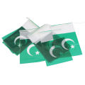 Pakistan Plastic Flag Hanging Banner For Wall Enjoy 14th August Party Decoration Jhandiyan Happy Independence Day Celebration Garland Bunting Flags Decorate Home, Dining Area, Rooms, Lounge, Office, School Class, Restaurants Festive Parties Decor Supplies. 