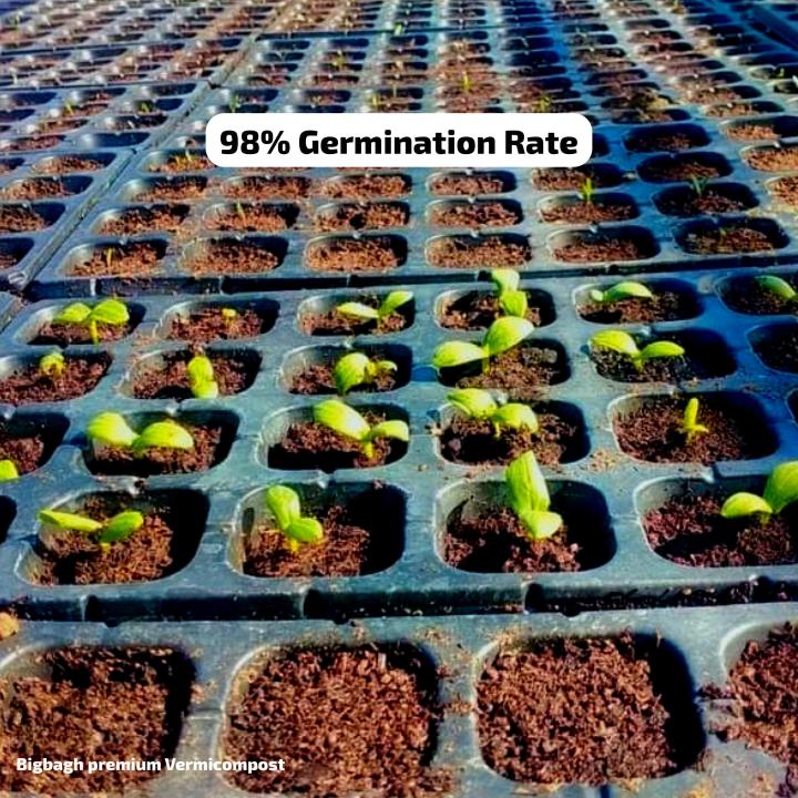 All-in-One%20Gardening%20Kit%20by%20BIGBAGH%20%E2%80%93%20Organic%20&%20Nutrient-Rich%20-%20Image%209