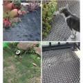 Anti Cat Cat Protective with Spikes 13.4x16.5inch Lightweight Durable Indoor and Outdoor for Stopping Dog Digging. 