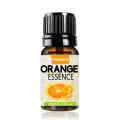 Orange Essence - Orange Flavour Liquid Essence for Baking Cakes, Jams, Jellies, Cookies, Ice Creams, Shrebats Pulao Liquid Food Essence. 