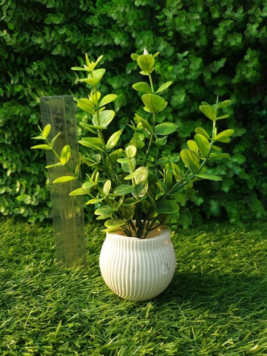 Mini%20Artificial%20Flower%20Decoration%20Piece%20-%20Green%20Best%20for%20home%20and%20office%20use%20-%20Image%205