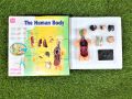 The human body science and nature Educational toy for kids 10 body parts with a stand. 