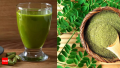 Organic Moringa Powder 100g – Organic Superfood for Energy, Immunity & Detox – Rich in Vitamins & Antioxidants. 