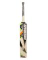 Premium Sports Heavy Weight Random Bat for Hard Ball Cricket (Approx 1-1.2KG). 