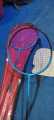 Badminton Racket Jointless Lonex  Multicolour. 