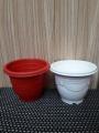 Set of 6 Cute plastic Pots for Seedling Cactus Succulent Flower pot. 