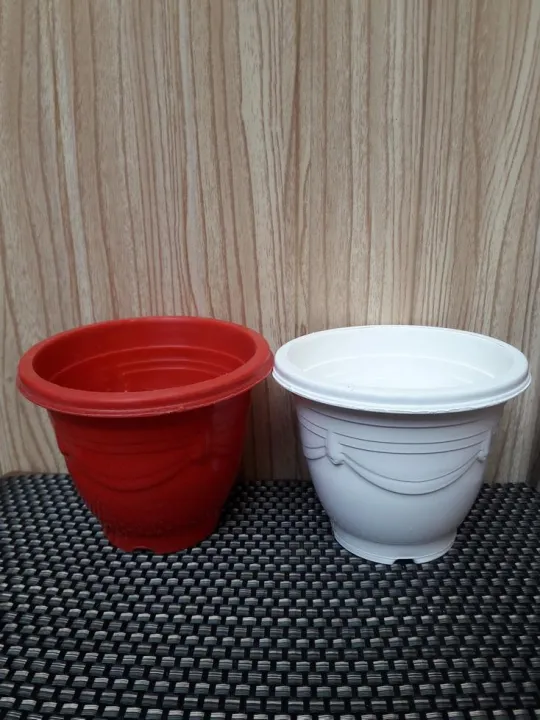 Set%20of%206%20Cute%20plastic%20Pots%20for%20Seedling%20Cactus%20Succulent%20Flower%20pot%20-%20Image%202