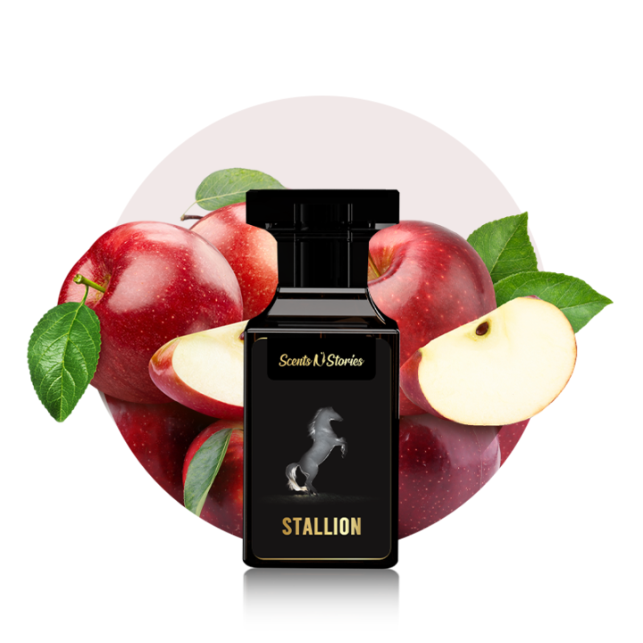 Stallion | Newest Most Demanded Perfume | Scents N Stories | 50ml