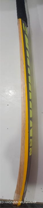 coconut%20bat%20-%20Image%203