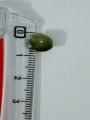 Unique Beads for Unique Crafts. Green Marble Oval Acrylic Plastic Beads. Pack of 40gms, For DIY Jewelry Making, Crafting, Home Decor, And Dress Accessories.. 