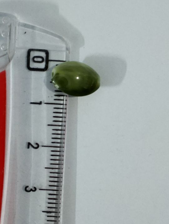 Unique%20Beads%20for%20Unique%20Crafts.%20Green%20Marble%20Oval%20Acrylic%20Plastic%20Beads.%20Pack%20of%2040gms,%20For%20DIY%20Jewelry%20Making,%20Crafting,%20Home%20Decor,%20And%20Dress%20Accessories.%20-%20Image%203