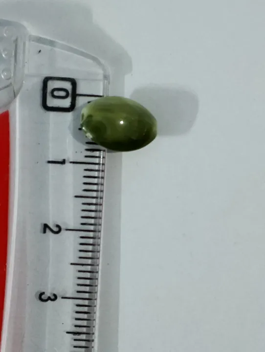 Unique%20Beads%20for%20Unique%20Crafts.%20Green%20Marble%20Oval%20Acrylic%20Plastic%20Beads.%20Pack%20of%2040gms,%20For%20DIY%20Jewelry%20Making,%20Crafting,%20Home%20Decor,%20And%20Dress%20Accessories.%20-%20Image%203