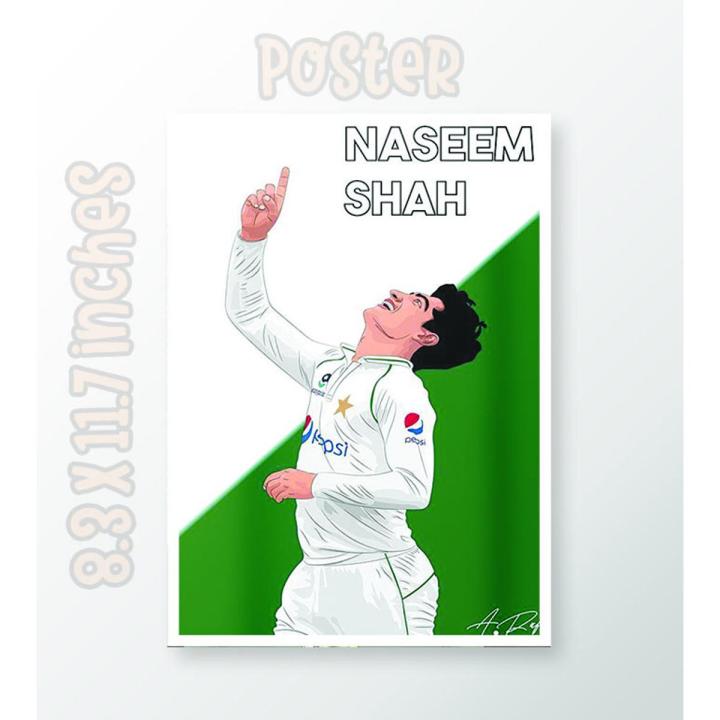 Best Poster Design Naseem Shah Poster