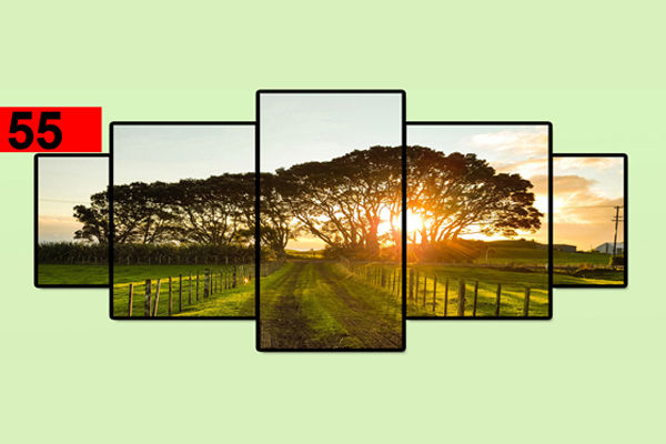 Picture frames, wall hanging, 12x24 - 01-100 Fix photo frame 5 pieces, set of picture frame, home decoration items, home décor, decorating items, frames, set of 5 frames, Frame House