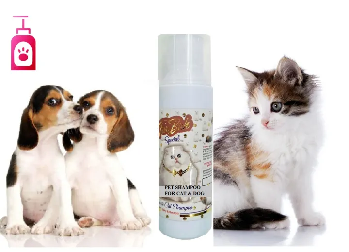 CLASSIC%20CAT%20SHAMPOO%20-%20PERSIAN%20SPECIAL%20CAT%20SHAMPOO%20-%20BEST%20FOR%20ALL%20CATS%20AND%20KITTENS%20-%20100ML%20-%20Image%203