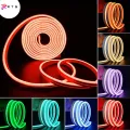 RTS NEON Rope Light  1M to 50M Waterproofs NEON Lights for Room  All Colors Available. 
