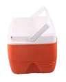 Cool Ice Box Small Cooler Portable ideal for Camping & Hiking Storing bottles, can. 