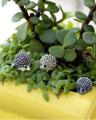 3Pcs Cute Hedgehogs Miniature Mini Fairy Garden Plant Decor. 