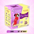 Ezi - Pants pads (Sanitary Pads) Pack of 10  Ezi-Pants Sanitary Pants Ultra Absorbent Protection upto 12 hours. 