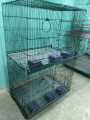 2 Portion Folding cage Best Quality size 2ftx1.5ftx1.5ft per portion. 