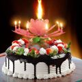 Flower Musical Amazing Birthday Cake Candle – Cake Decor- Party Decoration.. 