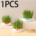 Planting Box Grass Planter Tray Soilless Germinating Trays Reusable Tray Tray for Garden Home. 