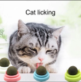 "Healthy 4-Flavour Cat Licking Balls – Catnip, Silvervine, Gall Fruit & Cat Sugar – Wall-Mounted Cat Treat Toys with Dust Cover – Interactive Cat Snacks & Chews". 