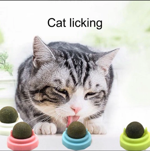 "Healthy 4-Flavour Cat Licking Balls – Catnip, Silvervine, Gall Fruit & Cat Sugar – Wall-Mounted Cat Treat Toys with Dust Cover – Interactive Cat Snacks & Chews"
